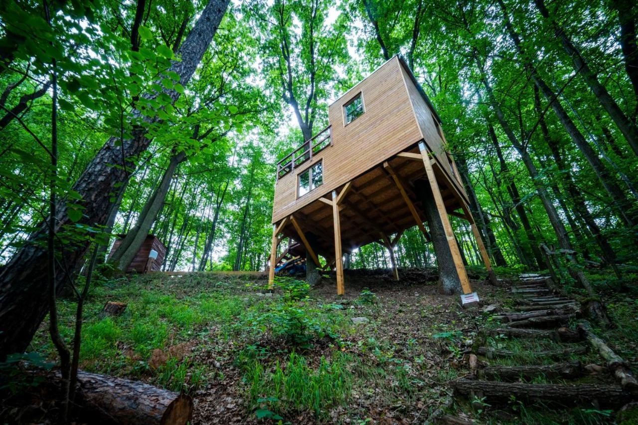 Treehouse Zlatá Koruna Exterior foto